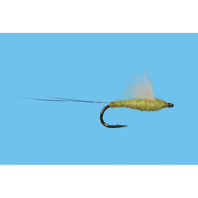 RS-2 - Olive 20
