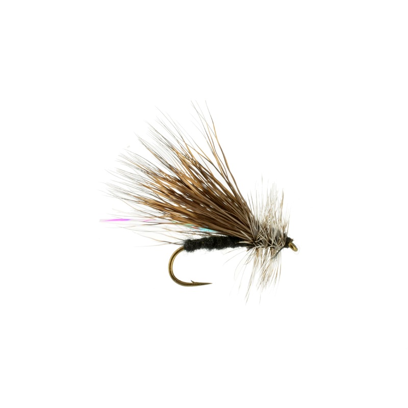 Black Stone 10