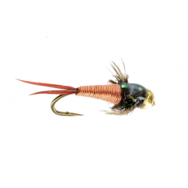 Catch Copper John Black Gold 16