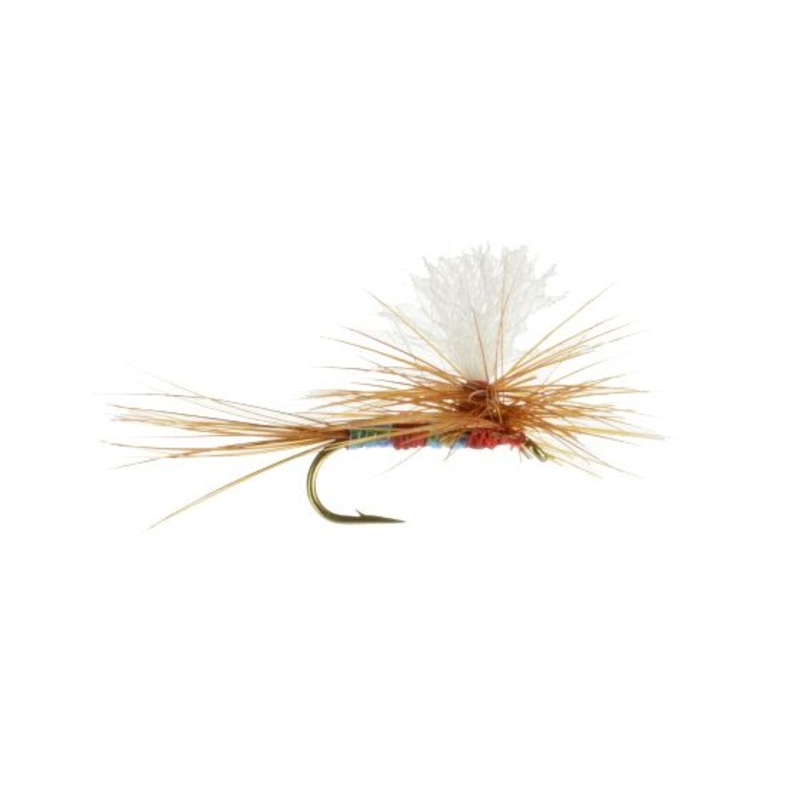 Parachute Patriot 18