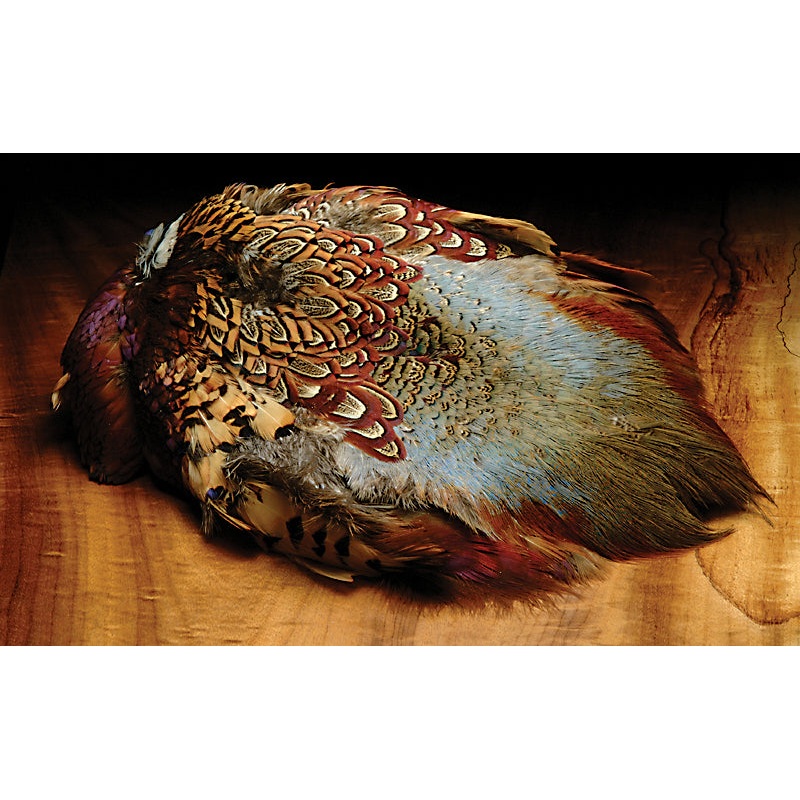 Hareline Ringneck Pheasant Complete Skin