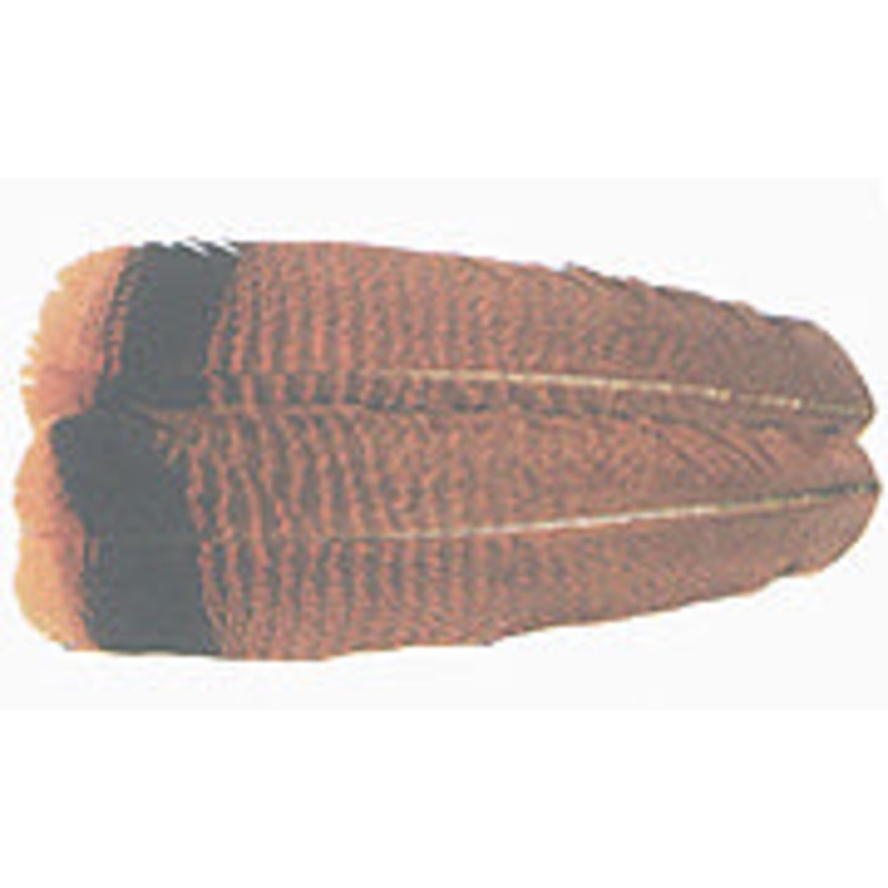 Wapsi Ozark Turkey Tail Cinnamon Tip Bleached