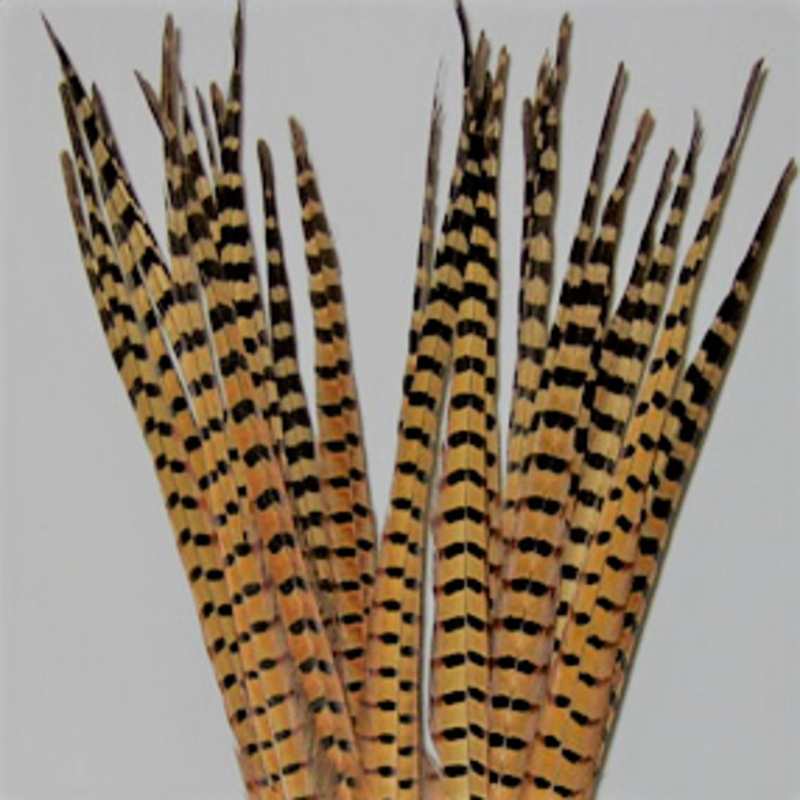 Wapsi Ringneck Pheasant Tail Feathers Golden Yellow