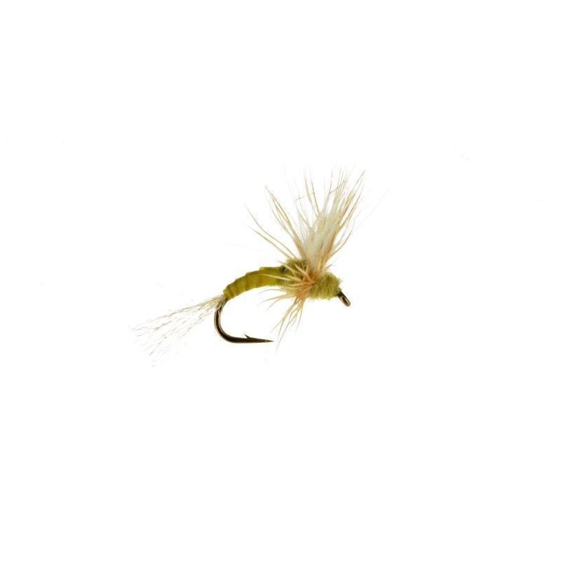 Au Sable Sulphur Spinner 18