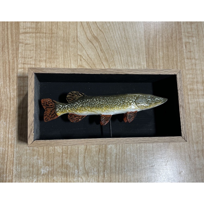 Batchik shadow box pike