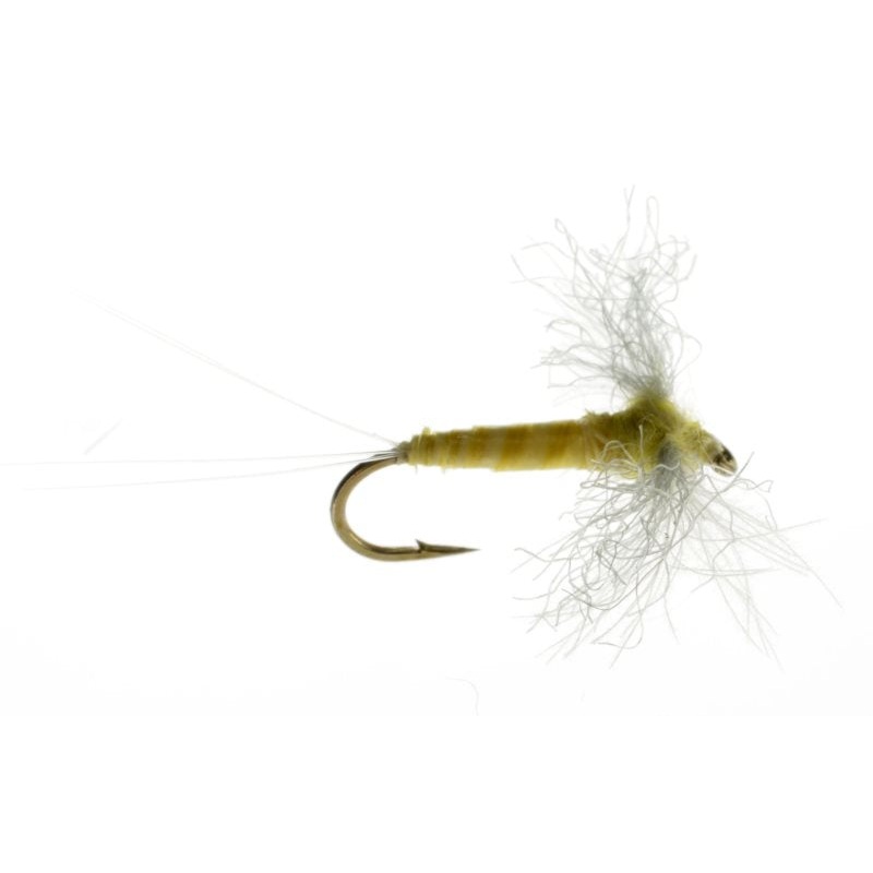 Biot Sulphur Spinner 18