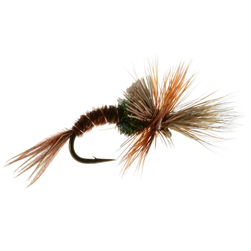 Challenged Mayfly Emerger 18