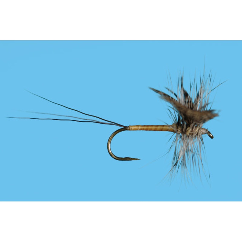 Gray Drake Hackled Spinner - 12