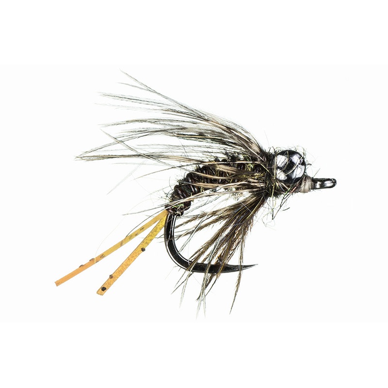 Krueger's Lil' Dragon Craw 8