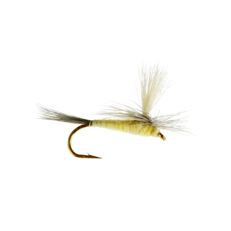 Light Parachute Sulphur 18