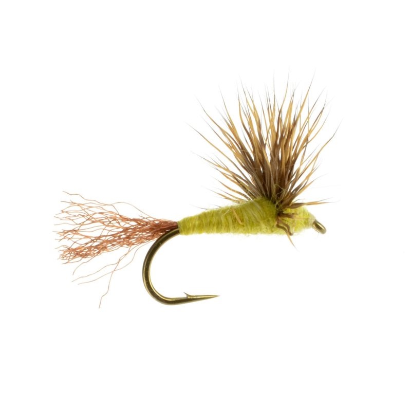 Light Sulphur Comparadun 16