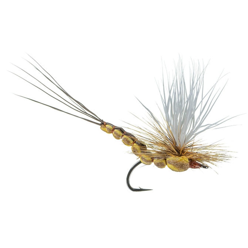 McCoy's Brown Drake All Day Dun