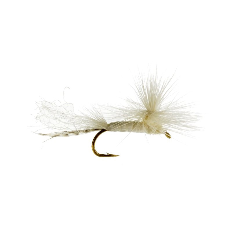 Parachute White Fly 12