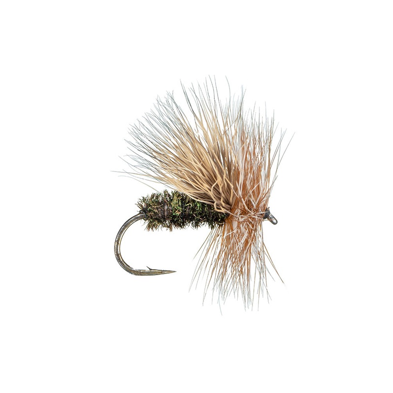 Peacock Caddis 18