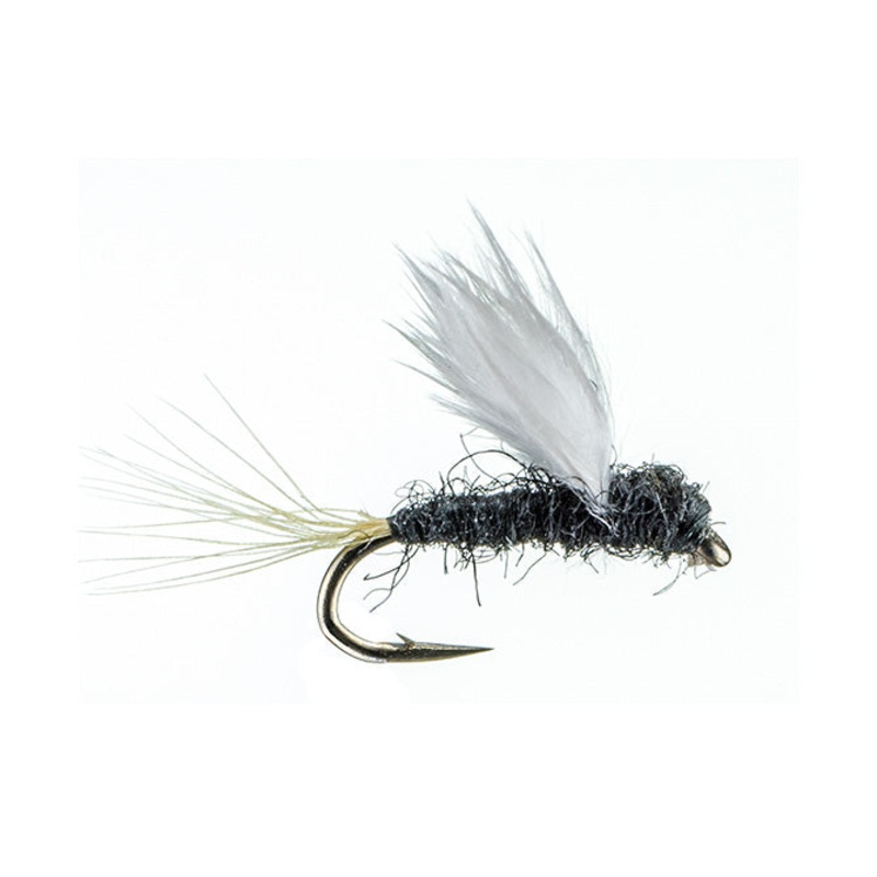 RS2-Trico 22