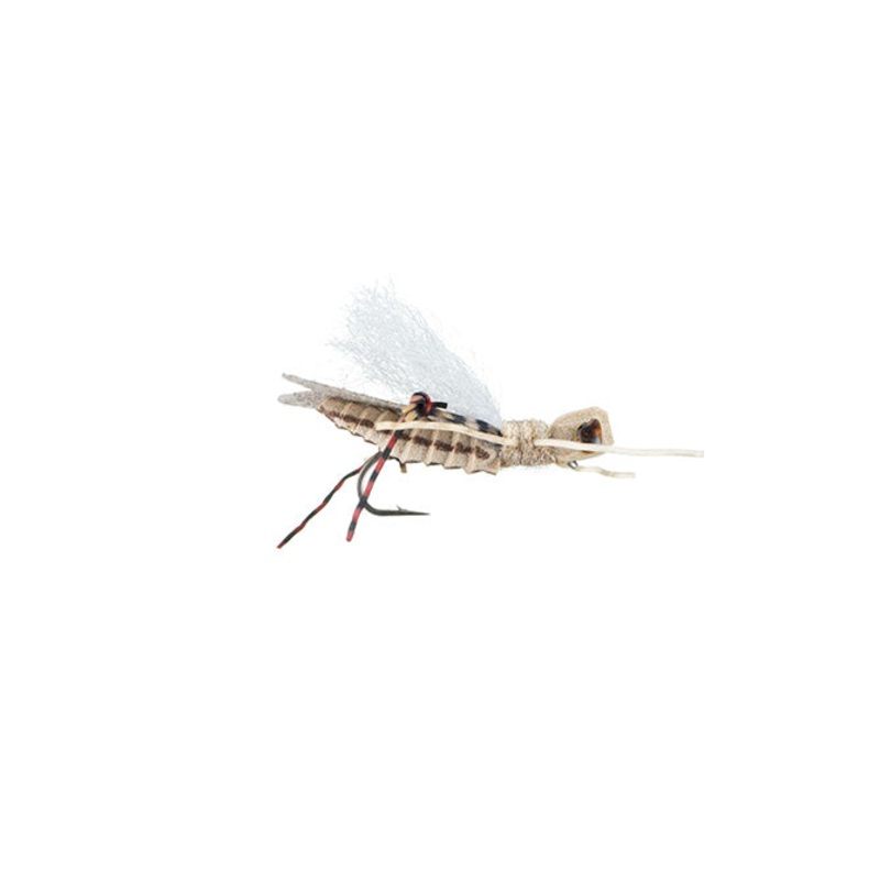 Trina's Carnage Hopper 12 Tan