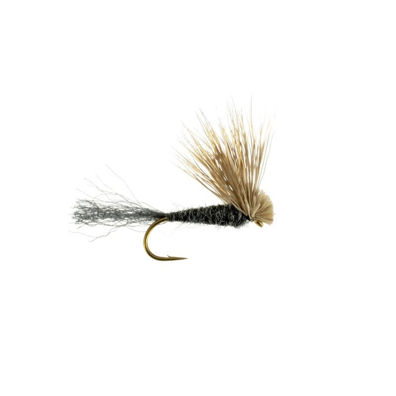 X Caddis Black 18