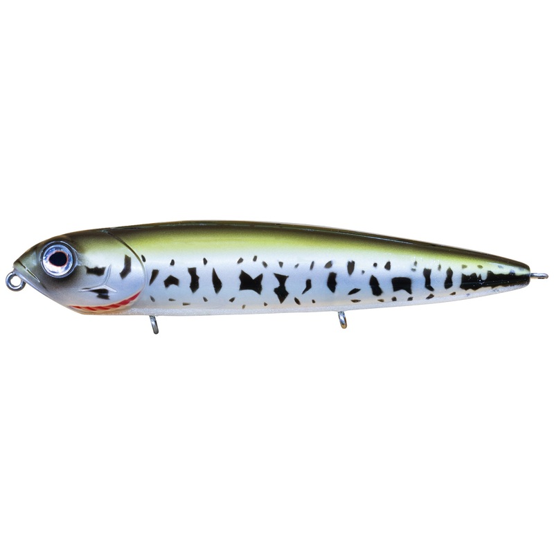 Teckel Kicknocker PUP Baby Bass