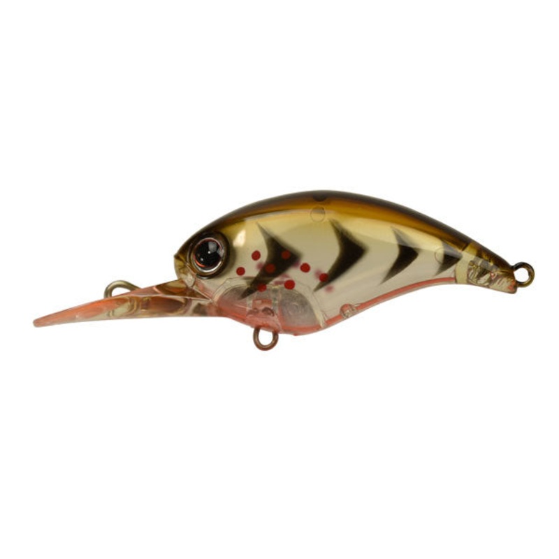 D Style Crawl Up BO Craw