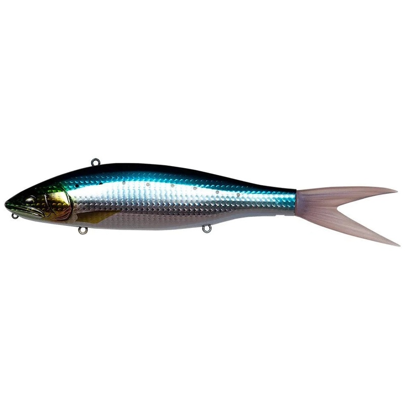 Fish Arrow x DRT VT Jack Iwashi
