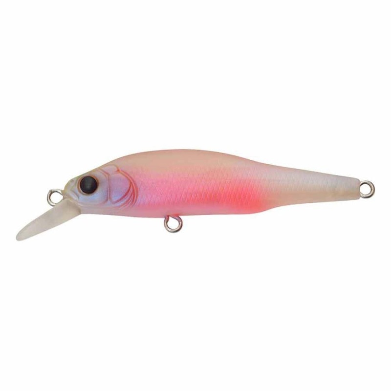 Megabass X-80 Jr (BFS) Baby Kingyo