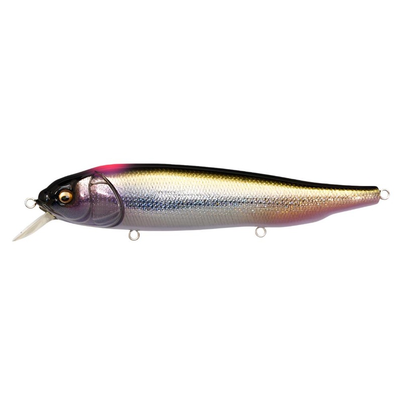 Megabass Lates FeedingWoofer DD Indicator Shiner