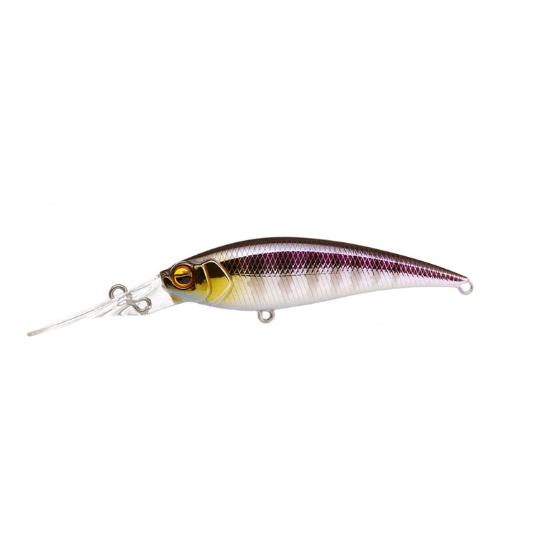 Raid Japan Level Shad Sprinter 68MR Chi Gill
