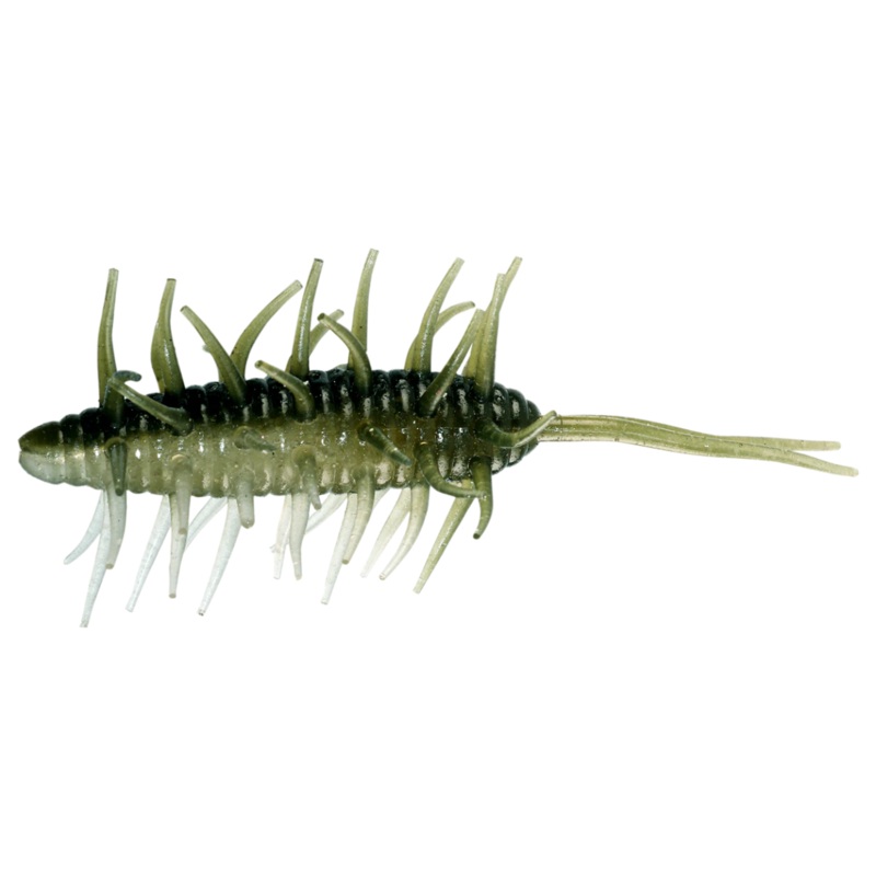 Hideup Coike Shrimp Medium Ayu #208