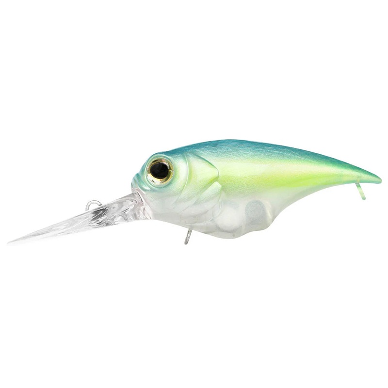 Teckel Drunker Citrus Shad