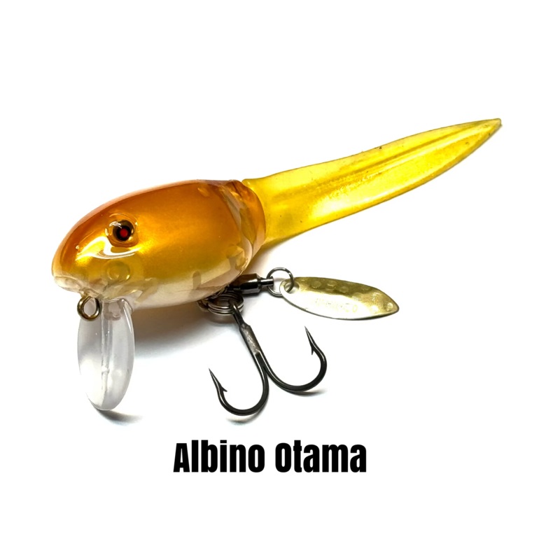 Nishine BQ Otama Albino Otama
