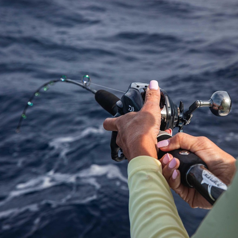 DOMINION E-Rod Collection - Versit