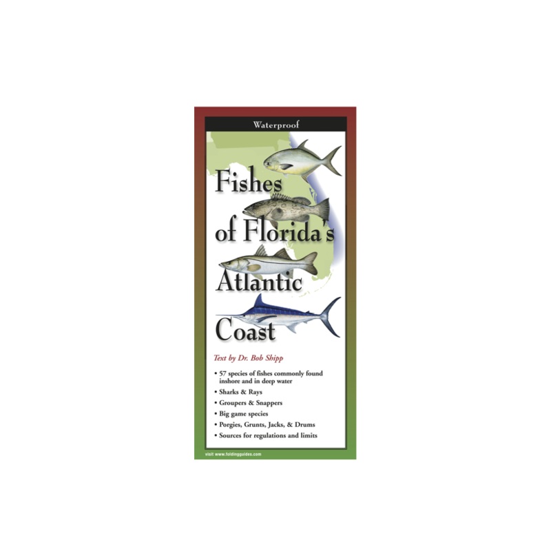 EARTH SKY WATER Fishes of Floridas Atlantic Coast