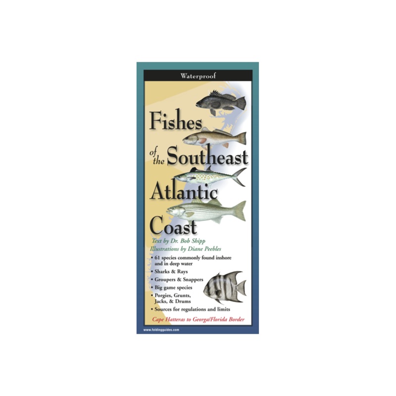EARTH SKY WATER Fishes of the Southeast Atlantic Coast
