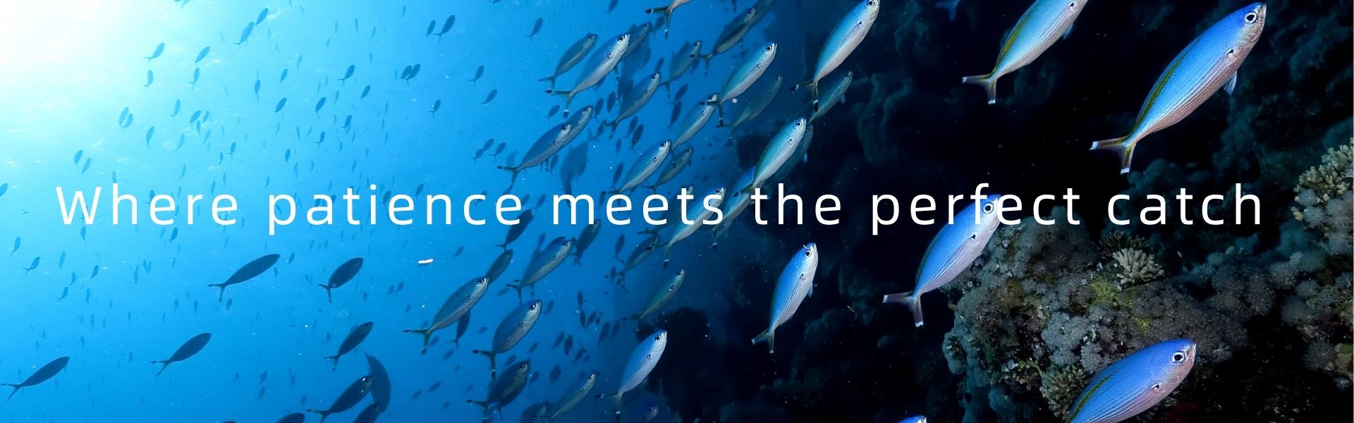 Saltwater Fishing Tackle for Offshore & Inshore Anglers | Premium Rods, Reels, Rigs & Lures